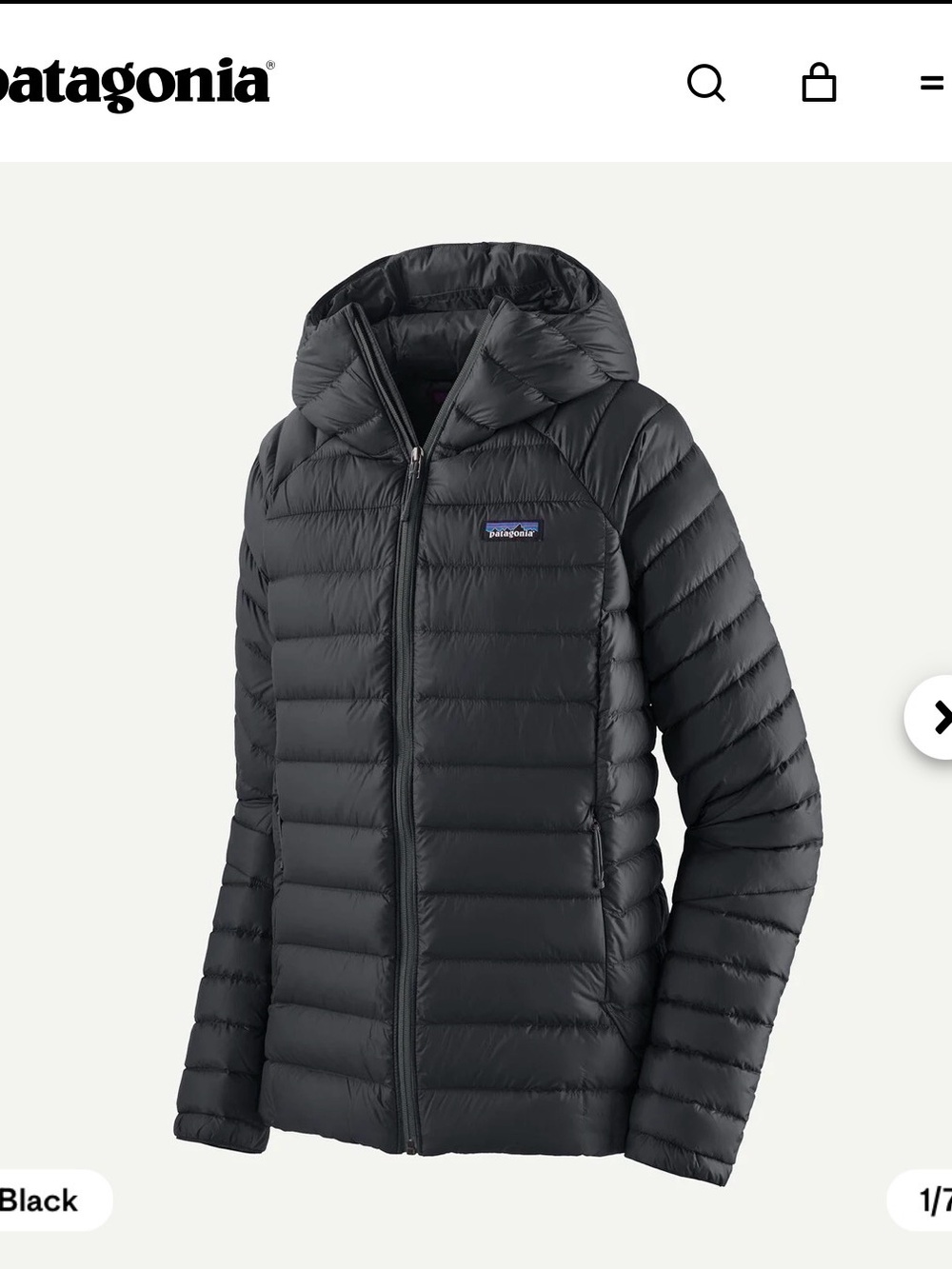 Patagonia Down Sweater Hoody